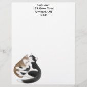 Mutter-Katzen-und Kätzchen-Briefkopf Briefkopf (Vorderseite)