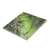 Mutter-Kolibri auf Nest Fliese (Seite)