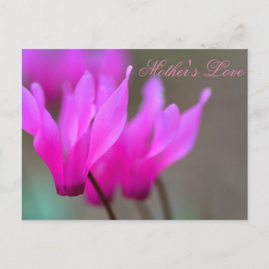 Mutter Liebe 2 Postkarte (Vorderseite)
