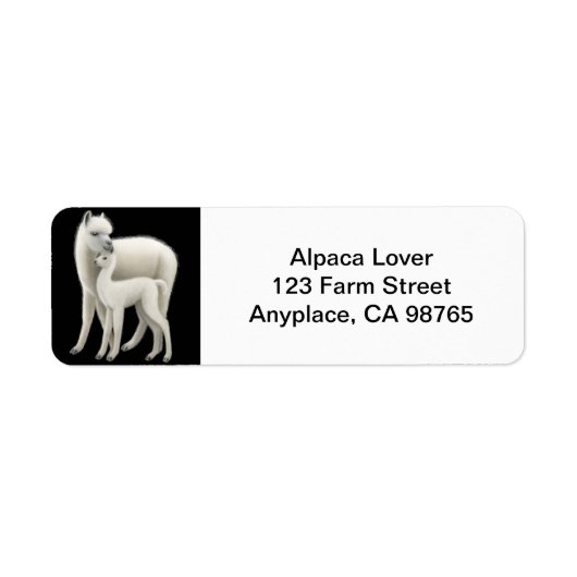 Mutter Liebe Alpaca und Cria (Vorne)
