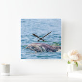 Mutter Liebe Dolphin & Baby Clock Quadratische Wanduhr (Zuhause)