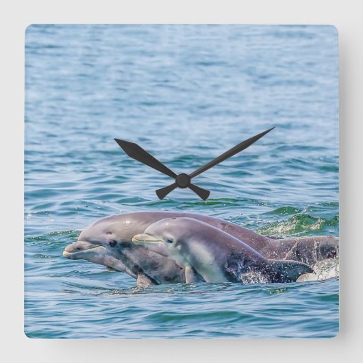 Mutter Liebe Dolphin & Baby Clock Quadratische Wanduhr (Vorderseite)