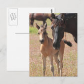 Mutter-Liebe Postkarte (Vorne/Hinten)