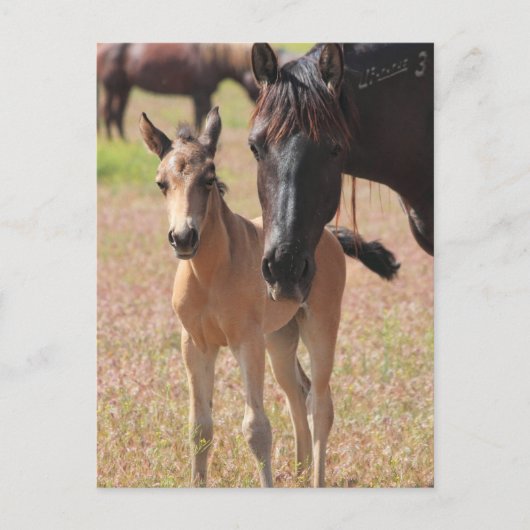 Mutter-Liebe Postkarte (Vorderseite)