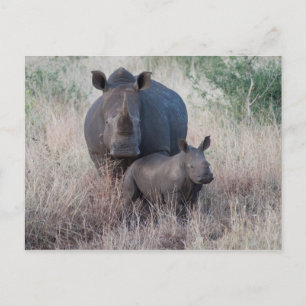 Mutter Liebe - Rhino Style Postcard Postkarte