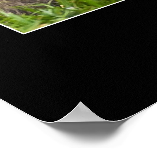 Mutter Macaque und Baby Poster (Ecke)