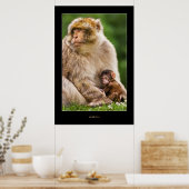 Mutter Macaque und Baby Poster (Küche)