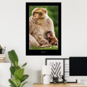 Mutter Macaque und Baby Poster (Heimbüro)