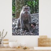 Mutter Macaque und Baby Poster (Küche)