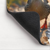 Mutter Mallard Duck mit Ducklings Mousepad (Ecke)