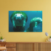 Mutter Manatee mit ihrem Kalb im Crystal River Leinwanddruck (Insitu (Wohnzimmer))