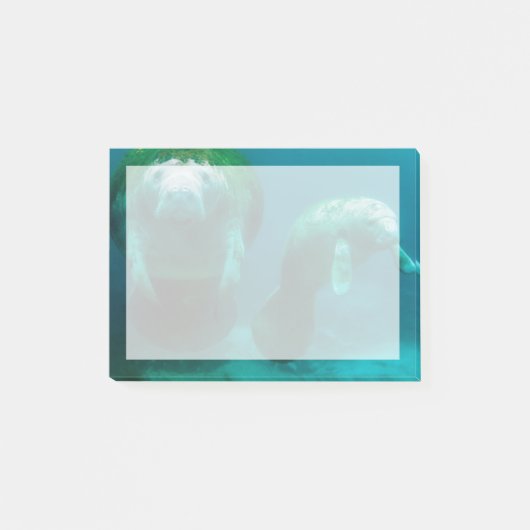 Mutter Manatee mit ihrem Kalb im Crystal River Post-it Klebezettel (Vorderseite)