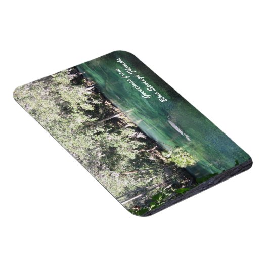 Mutter Manatee mit Kalb Blue Springs personalisier Magnet (Rechte Seite)