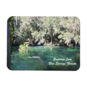 Mutter Manatee mit Kalb Blue Springs personalisier Magnet (Horizontal)
