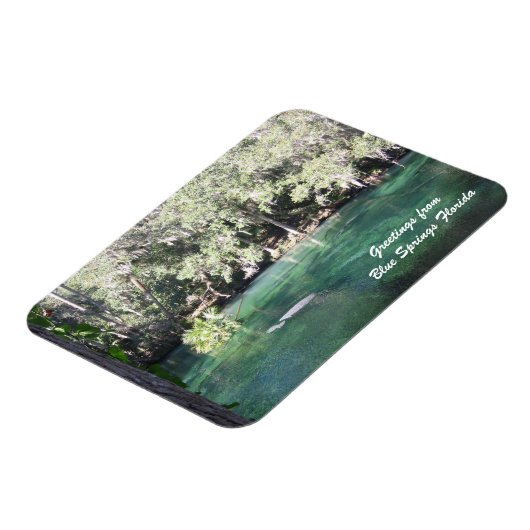 Mutter Manatee mit Kalb Blue Springs personalisier Magnet (Linke Seite)