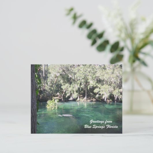 Mutter Manatee mit Kalb Blue Springs personalisier Postkarte (Stehend Vorderseite)