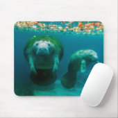 Mutter-Manati mit ihrem Kalb im Crystal River Mousepad (Mit Mouse)