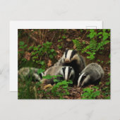 Mutter mit Babyausweis Postkarte (Vorne/Hinten)