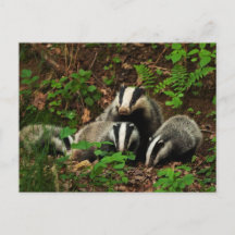 Mutter mit Babyausweis