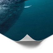 Mutter Narwhal & Calf - Erstes Schwimmen in der Ar Poster (Ecke)