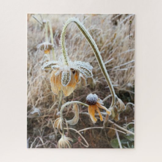 Mutter Natur berührte Frostige Rudbeckia-Blume Puzzle (Vertikal)