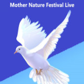 Mutter Natur Festival Live Ladys T - Shirt