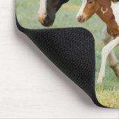 Mutter & Neugeborenes Paint Stutfohlen Mousepad (Ecke)