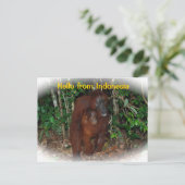 Mutter Orangutan und Baby in der Natur Postkarte (Stehend Vorderseite)
