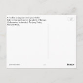 Mutter Orangutan und Baby in der Natur Postkarte (Rückseite)