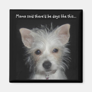Mutter sagte, dass es Tage wie dieser Hundemagnet Magnet