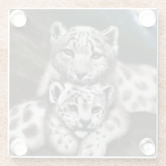 Mutter Schneeleopard und Cub in den Bergen Glasuntersetzer (Rückseite)