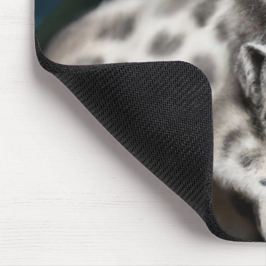Mutter Schneeleopard und Cub in den Bergen Mousepad (Ecke)