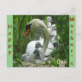 Mutter Schwan mit Babies Muttertagskarte Postkarte