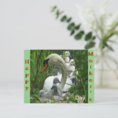 Mutter Schwan mit Babies Muttertagskarte Postkarte (Stehend Vorderseite)
