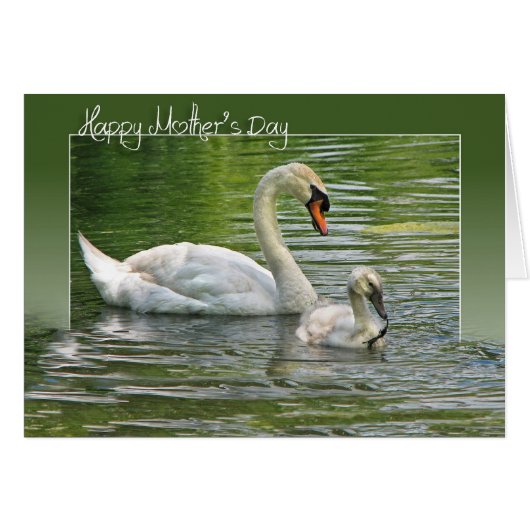 Mutter Schwan mit Cygnet (Vorderseite (Horizontal))