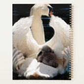 Mutter Schwan mit Cygnets (Babyschwäne) Planer (Rückseite)