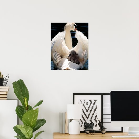 Mutter Schwan mit Cygnets (Babyschwäne) Poster (Heimbüro)