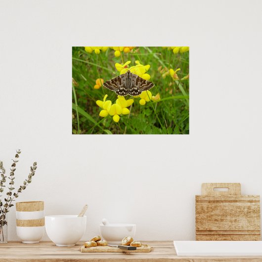 Mutter Shipton Moth Poster (Küche)