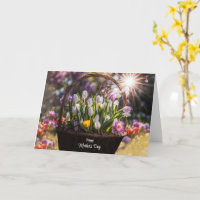 Mütter Tag Allgemeiner Korb der Frühlingsglühbirne