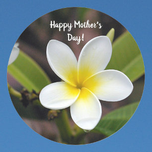 Mütter Tag Gelb und Weiß Plumeria Blume Foto Runder Aufkleber