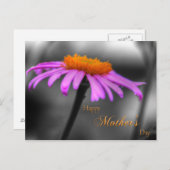 Mütter Tag Lila und Orangenblume Postkarte (Vorne/Hinten)
