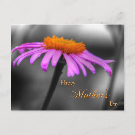 Mütter Tag Lila und Orangenblume Postkarte (Vorderseite)