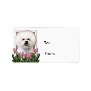 Mutter-Tag - rosa Tulpen - Bichon Frise Adressaufkleber