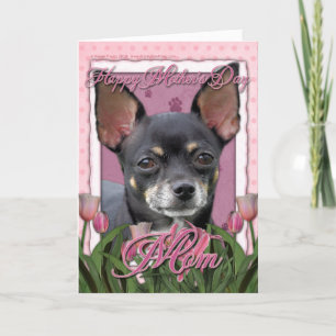 Mutter-Tag - rosa Tulpen - Chihuahua - Isabella Karte