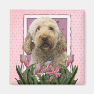 Mutter-Tag - rosa Tulpen - Goldendoodle Magnet