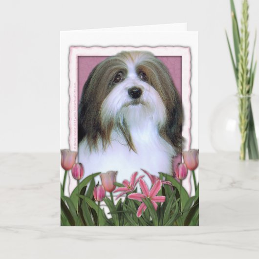 Mutter-Tag - rosa Tulpen - Havanese Karte (Vorderseite)