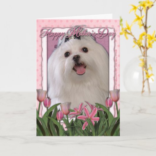 Mutter-Tag - rosa Tulpen - maltesisch Karte (Gelbe Blume)