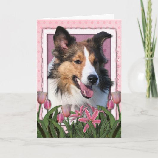 Mutter-Tag - rosa Tulpen - Sheltie Karte (Vorderseite)