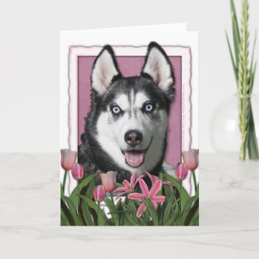 Mutter-Tag - rosa Tulpen - sibirischer Husky Karte (Vorderseite)