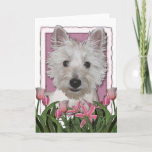 Mutter-Tag - rosa Tulpen - Westie Karte